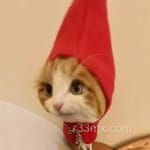 Avatar Mauricio Calderón